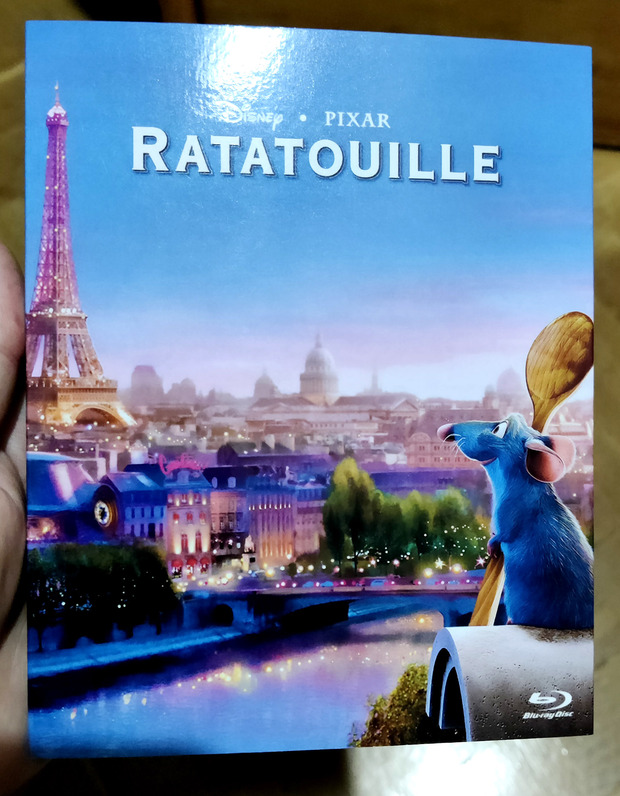Ratatouille Custom Slipcover