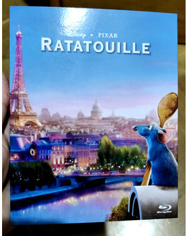 Ratatouille Custom Slipcover