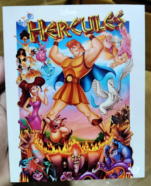 Hercoles Custom Slipcover