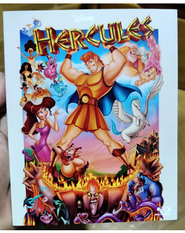 Hercoles Custom Slipcover