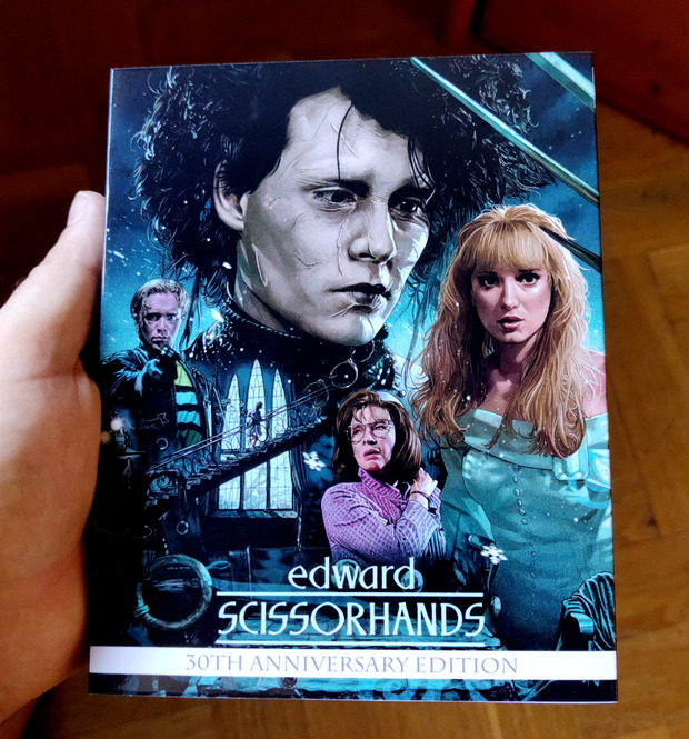 Edward Scisordhands custom slip cover
