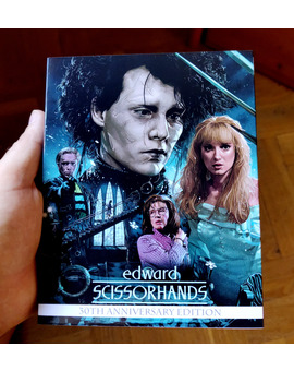Edward Scisordhands custom slip cover