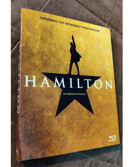 Custom slipcover Hamilton
