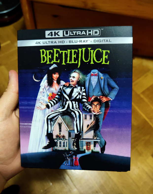 Custom Slipcover Beatlejuice