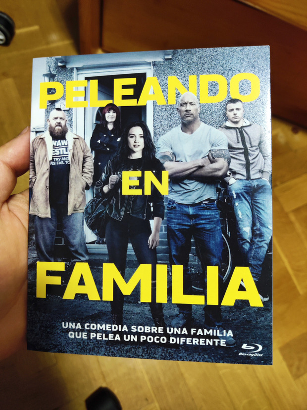 Custom Slipcover Peleando en Familia