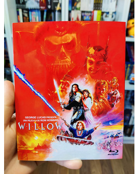 Custom Slipcover Willow