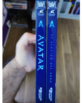 Custom Slipcovers avatar 1 y 2 (varias versiones)