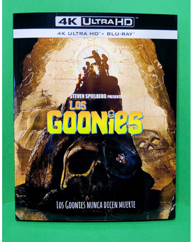 Goonies Custom Slipcover