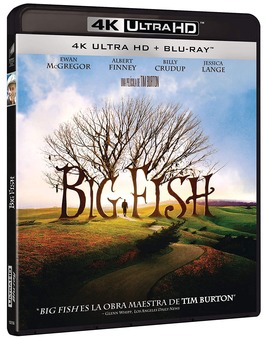big fish 4k 19 mayo