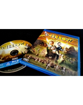 Willow