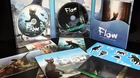 Flow-c_s