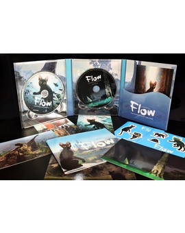Flow