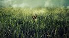 En-la-hierba-alta-stephen-king-estreno-en-netflix-c_s