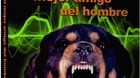 Amigo-en-oferta-9-99-c_s