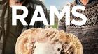 Rams-en-mayo-en-blu-ray-c_s