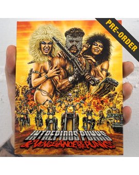 Pack Intrépidos Punks / Vengeance of the Punks en Blu-ray