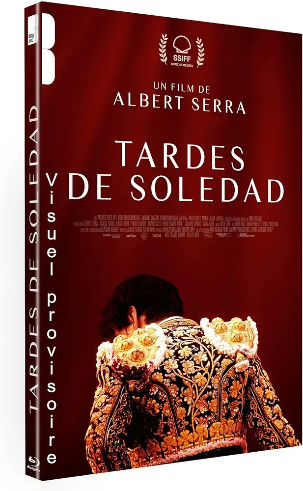 Tardes de soledad en Francia