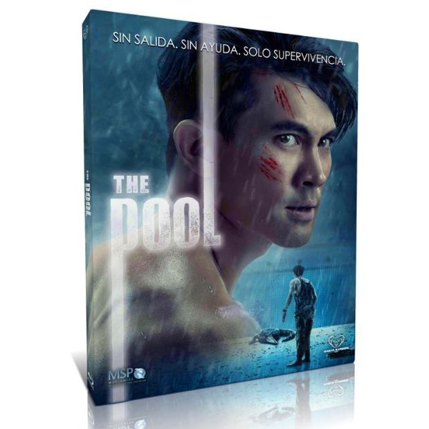 The Pool. Slipcover