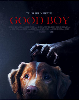 Good Boy. Tráiler filmin. 17 octubre en cines