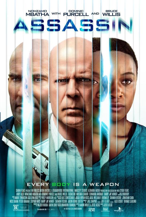 Asesino. En diciembre en Blu-ray