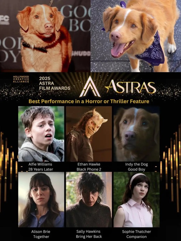 Indy nominado como mejor actor por good boy