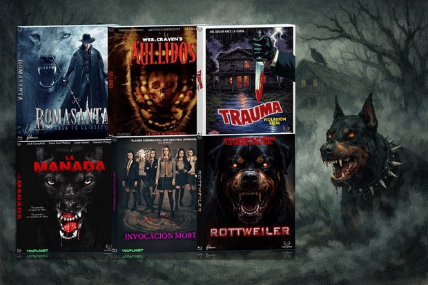 Se adelantan los envíos