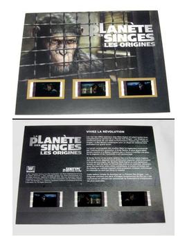 El origen del planeta de los simios (Steelbook francés)