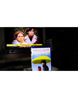 Harold y Maude. Una locura maravillosa 