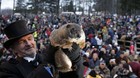 Feliz-dia-de-la-marmota-c_s