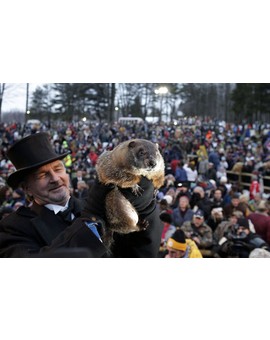 FELIZ DIA DE LA MARMOTA!!!!