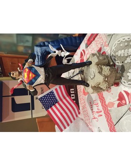 Superman iron studios