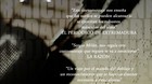 Para-sonia-cortometraje-c_s