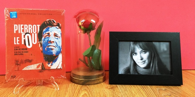 Pierrot le fou (loco por ella)