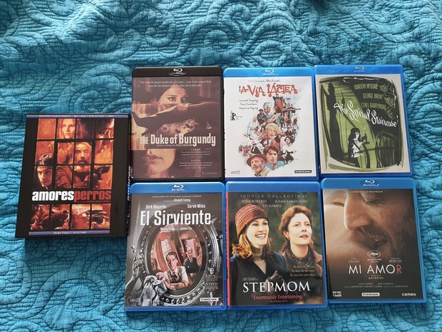 MIS ÚLTIMAS RECIÉN LLEGADAS
