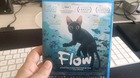 Flow-c_s