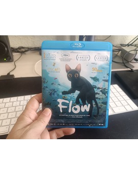 FLOW