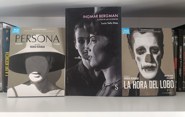 Bergman para ver y Bergman para leer