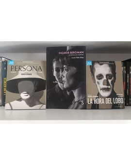 Bergman para ver y Bergman para leer