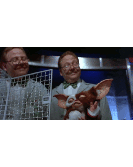 Compañeros de Mubis, ¿me seguís en mi cuenta de cine en twitter? @yoyocine