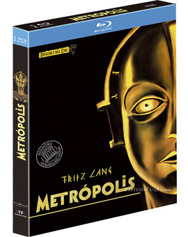Fallo Metrópolis