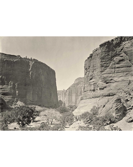 PELICULA QUE NO RECUERDO EL TITULO.