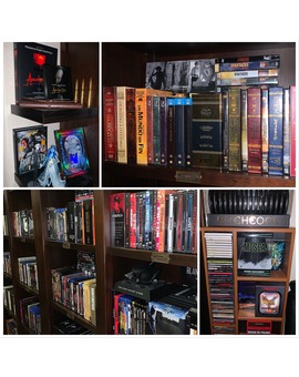 Organizando la colección