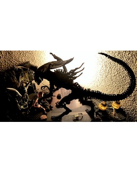 En las sombras… reina
