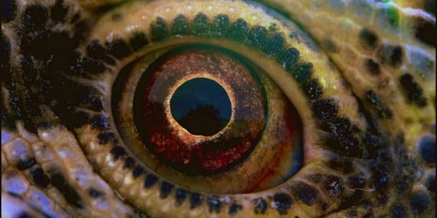 Voyage of Time. 1º trailer de la versión con Cate Blanchett