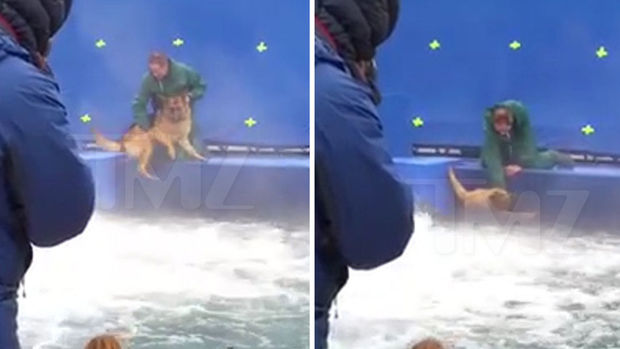 Despreciable maltrato animal en el rodaje de "A Dog's Purpose"
