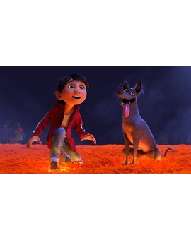 Después de ver COCO...