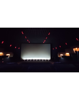¿Qué película os gustaría ver en una sala cómo está que no hayáis visto en el cine?