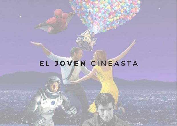 Consulta Instagram