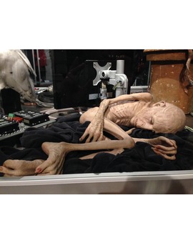 Algunas fotos de Warner Studio Tour London