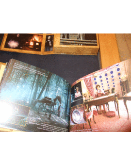 Harry Potter Ultimate Edition (Detalle 2)